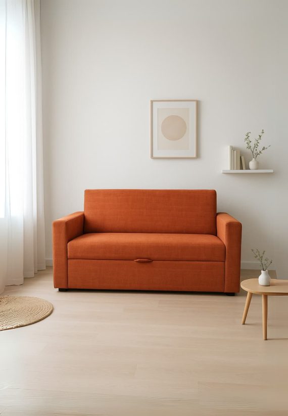 Sofá cama 2 Plazas