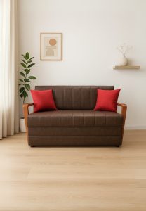 Sofá cama 2 Plazas