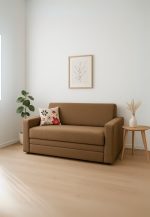 Sofá cama 2 Plazas